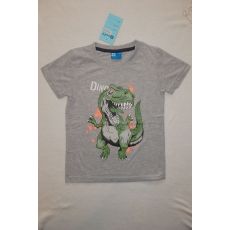 Tričko Dinosaurus T-Rex šedé